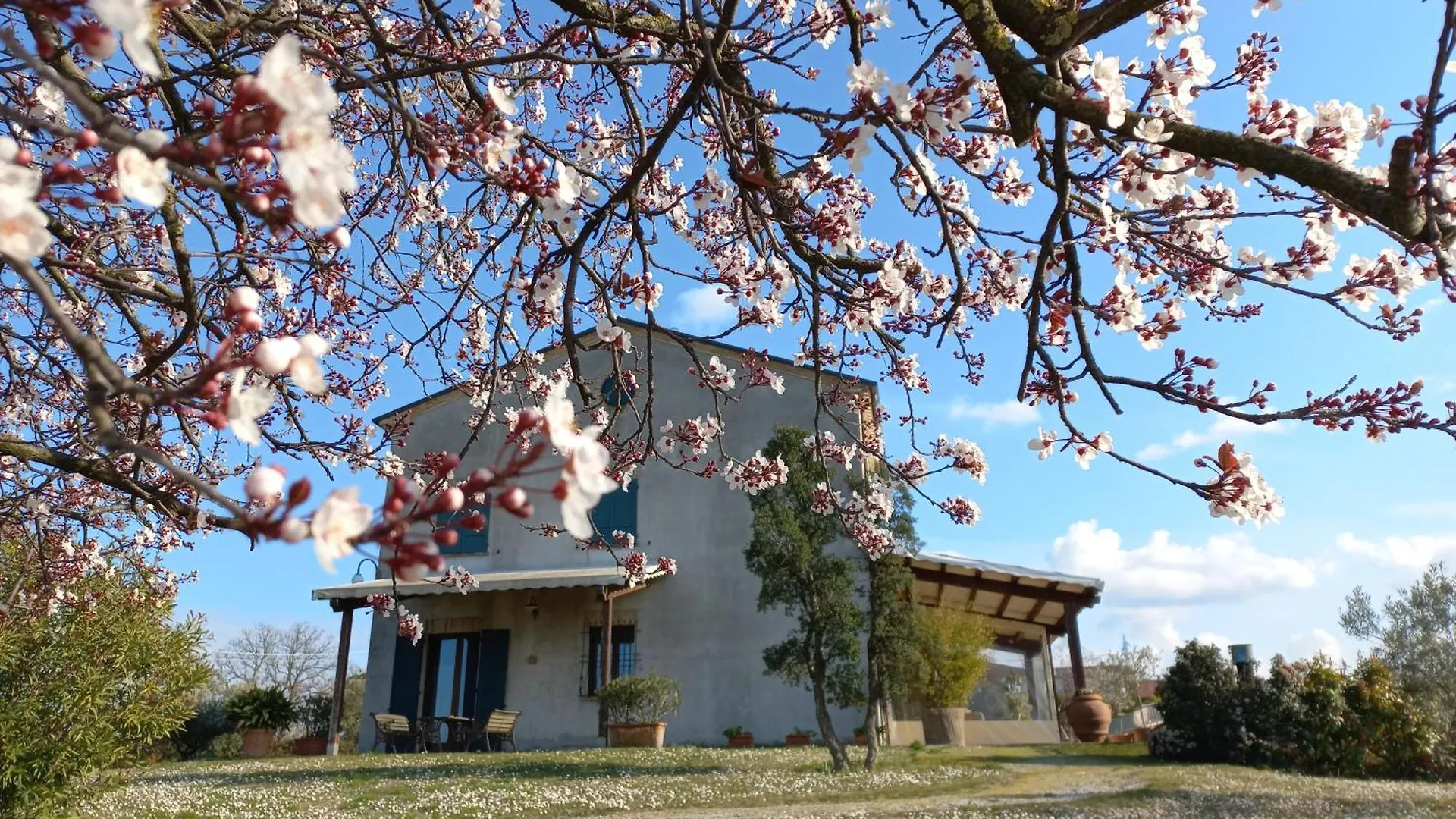 Ettaro Verde Apartment Rimini